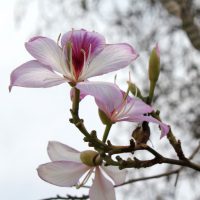 thumb_img_0098_1024